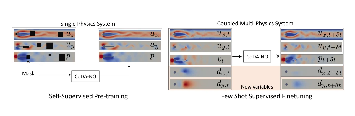 CoDA-NO: transfer from fluid dynamics to coupled multiphysics systems