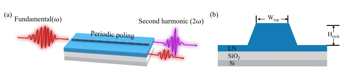 Second-harmonic generation in a periodically poled TFLN waveguide